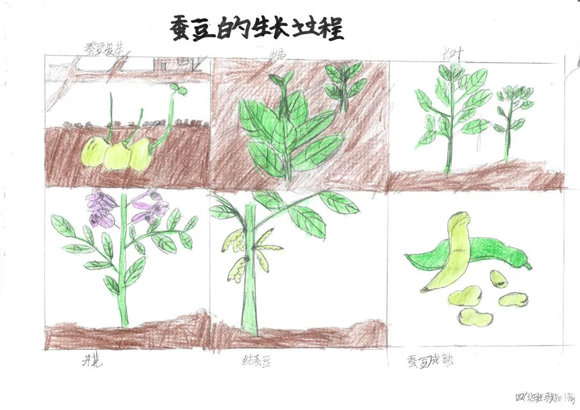  战术板上妙笔生花，暂停布置扭转乾坤
