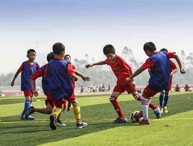  中国足球青训成果初现端倪