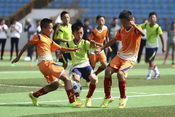  網球員心理辅导普及，专业团队入驻训练营